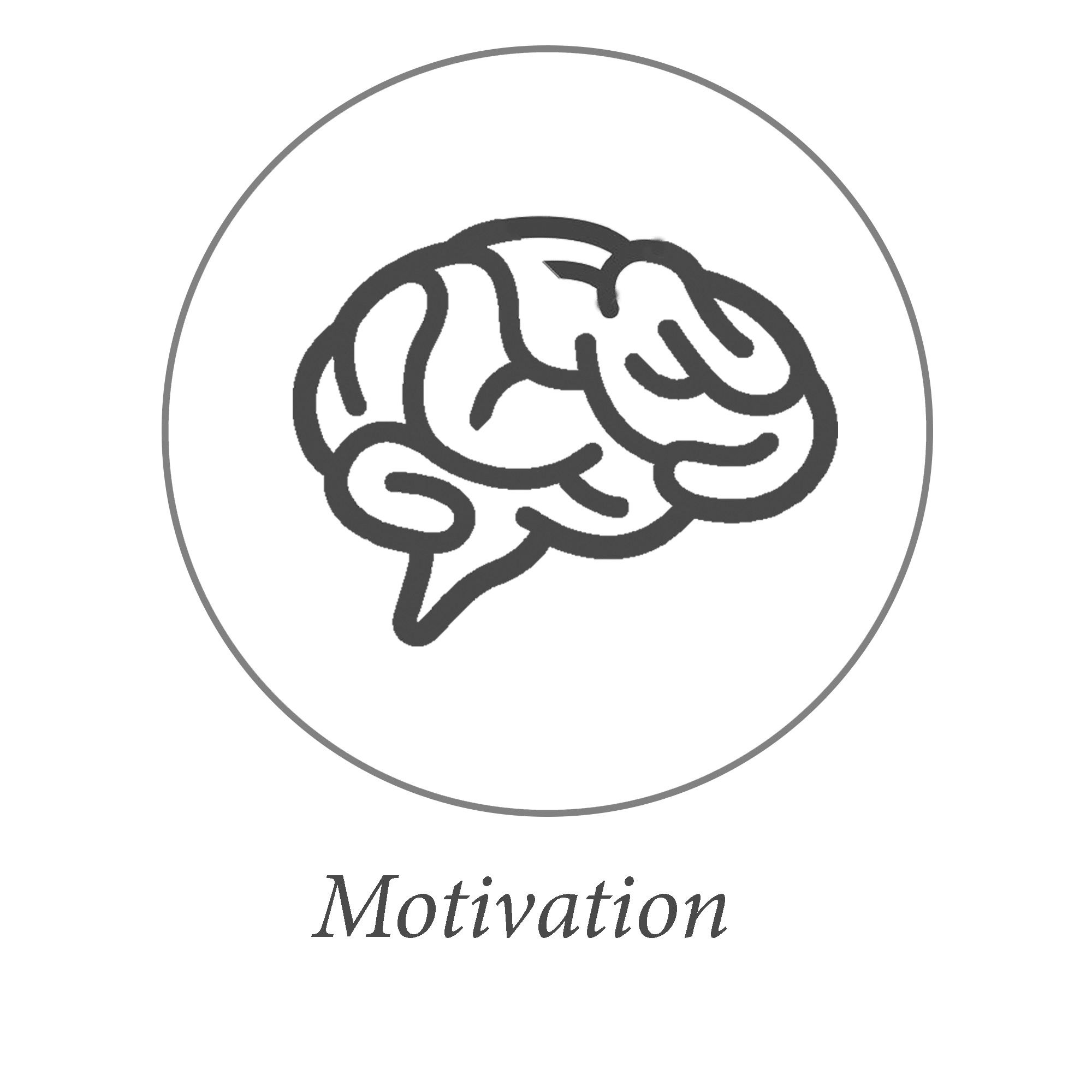 ICONS BWL+WK Motivation Brain
