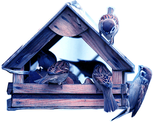 Vogelhaus FREI 04 kl ++